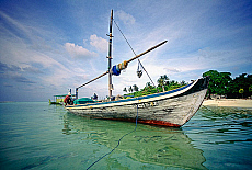 2001-253967-01
&copy; SIME