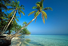 2001-253972-01
&copy; SIME