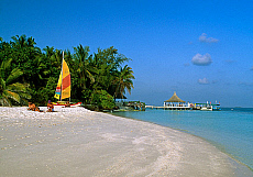 2001-253973-01
&copy; SIME