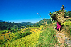 2001-254305-01
&copy; SIME