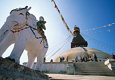 2001-254316-01
&copy; SIME