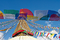 2001-256248-01
&copy; SIME