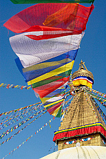 2001-256251-01
&copy; SIME