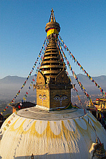 2001-256259-01
&copy; SIME