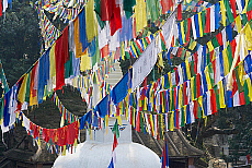 2001-256261-01
&copy; SIME