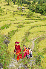 2001-256276-01
&copy; SIME