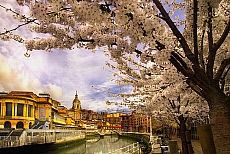 2001-260810-01
&copy; SIME
