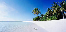 2001-261908-01
&copy; SIME