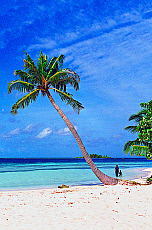 2001-262544-01
&copy; SIME