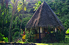 2001-262549-01
&copy; SIME