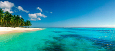 2001-263529-01
&copy; SIME