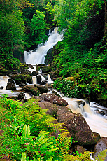 2001-264696-01
&copy; SIME