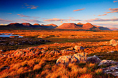 2001-264710-01
&copy; SIME