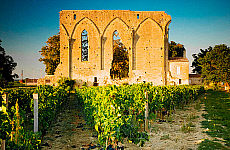 2001-266708-01
&copy; SIME