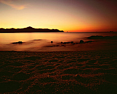 2001-268006-01
&copy; SIME