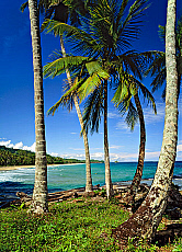 2001-268007-01
&copy; SIME