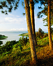 2001-268010-01
&copy; SIME