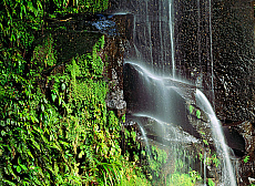 2001-268011-01
&copy; SIME