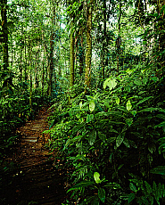 2001-268013-01
&copy; SIME