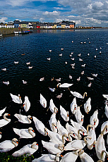 2001-268626-01
&copy; SIME