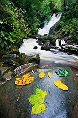 2001-269166-01
&copy; SIME