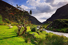 2001-269167-01
&copy; SIME