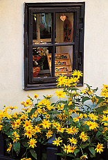 2001-269230-01
&copy; SIME