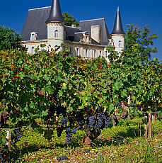 2001-269613-01
&copy; SIME
