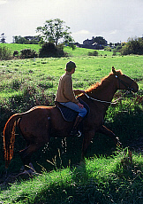 2001-269631-01
&copy; SIME