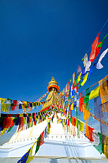 2001-270119-01
&copy; SIME