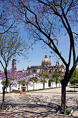 2001-270331-01
&copy; SIME