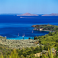 2001-274350-01
&copy; SIME