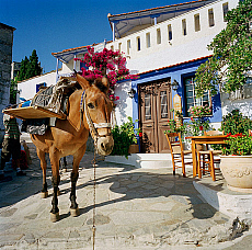 2001-274366-01
&copy; SIME