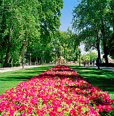 2001-274510-01
&copy; SIME