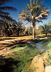 2001-275300-01
&copy; SIME