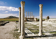 2001-275304-01
&copy; SIME