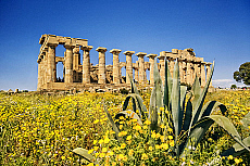 2001-275811-01
&copy; SIME
