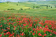 2001-277379-01
&copy; SIME