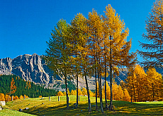 2001-277521-01
&copy; SIME