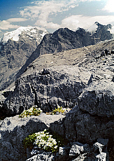 2001-277526-01
&copy; SIME