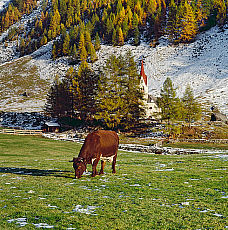 2001-277571-01
&copy; SIME