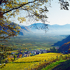 2001-277582-01
&copy; SIME