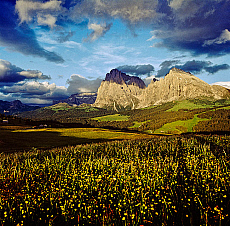2001-277587-01
&copy; SIME