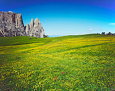 2001-277590-01
&copy; SIME