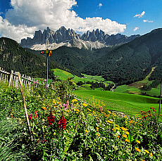 2001-277602-01
&copy; SIME
