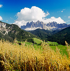 2001-277609-01
&copy; SIME