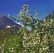 2001-277620-01
&copy; SIME