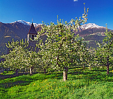 2001-277622-01
&copy; SIME