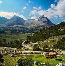 2001-277633-01
&copy; SIME