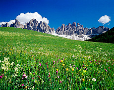 2001-277643-01
&copy; SIME